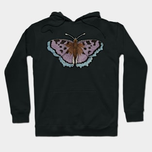 Beautiful Purple Tortoise Shell Butterfly Hoodie